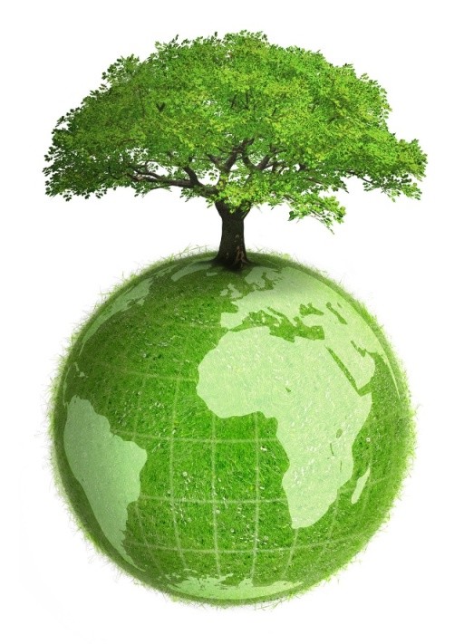 Protecting Environment
