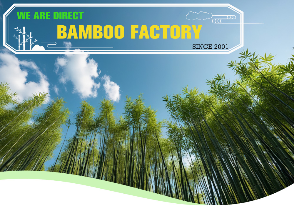 we are direct bamboo factory since 2001