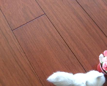 jatoba