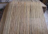 bamboo fence