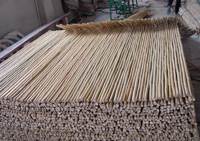 bamboo fence