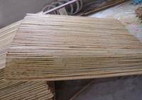 bamboo fence
