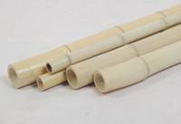 bamboo fence