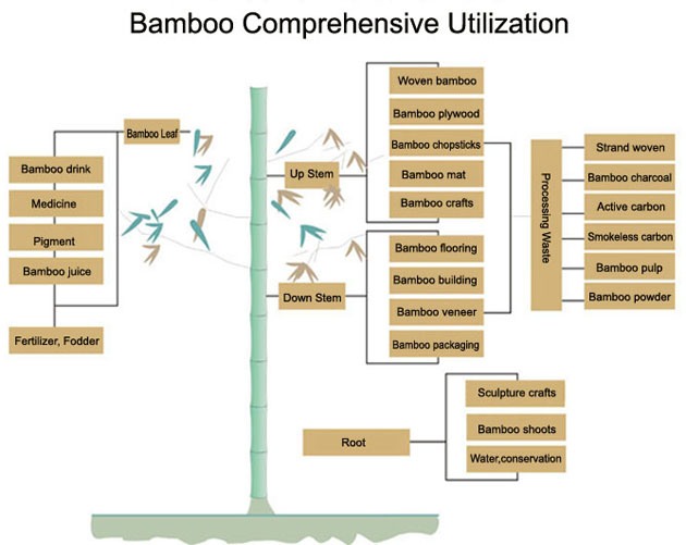 bamboo utilization