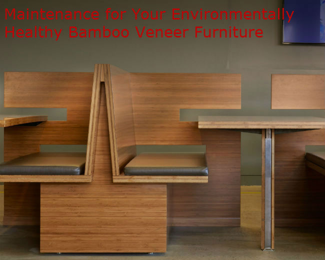 Maintain Your Environmentally Healthy Bamboo Veneer Furniture