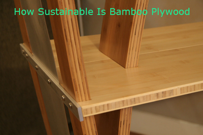 How Sustainable Is Bamboo Plywood