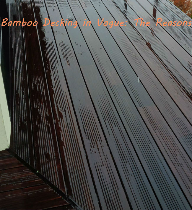 Bamboo Decking in Vogue: The Reasons