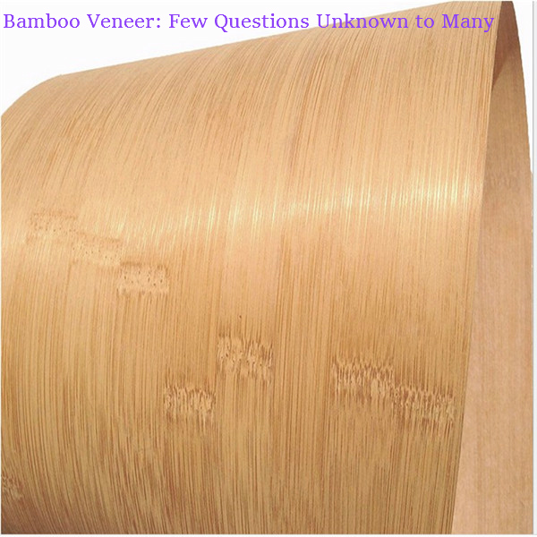 Bamboo Veneer: Few Questions Unknown to Many