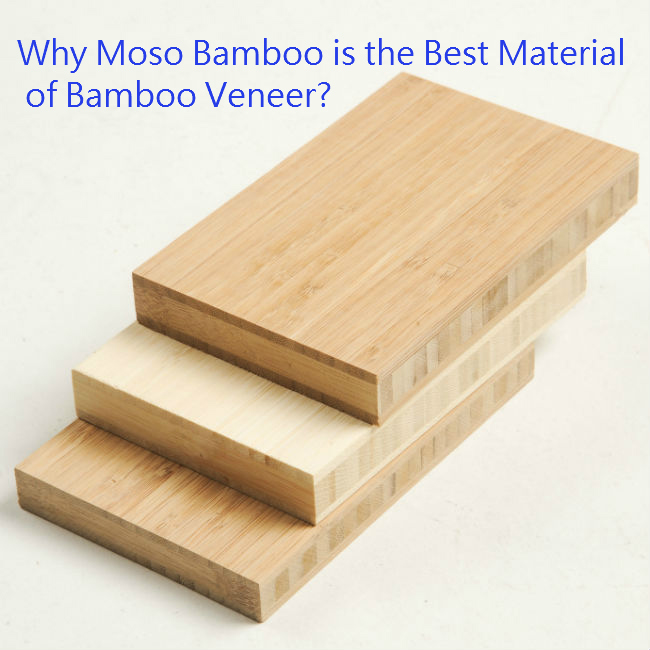 Why Moso Bamboo is the Best Material of Bamboo Veneer