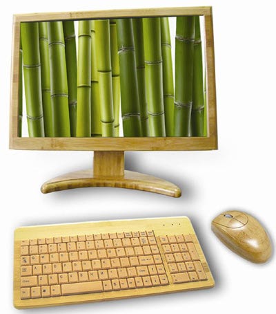 bamboo computer