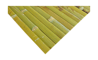 Bamboo Wallpaper