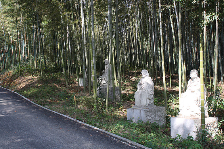 Bamboo Harvesting and Forest Conservation