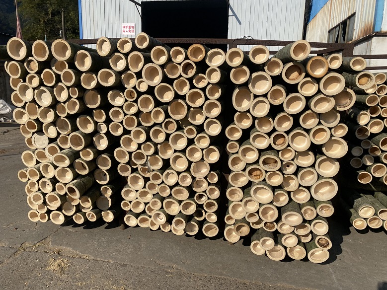 Bamboo Harvesting and Forest Conservation