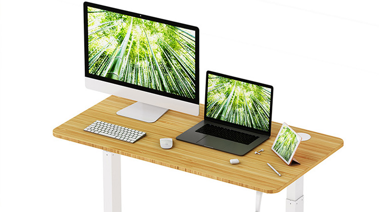 Bamboo Standing Desk Desktop