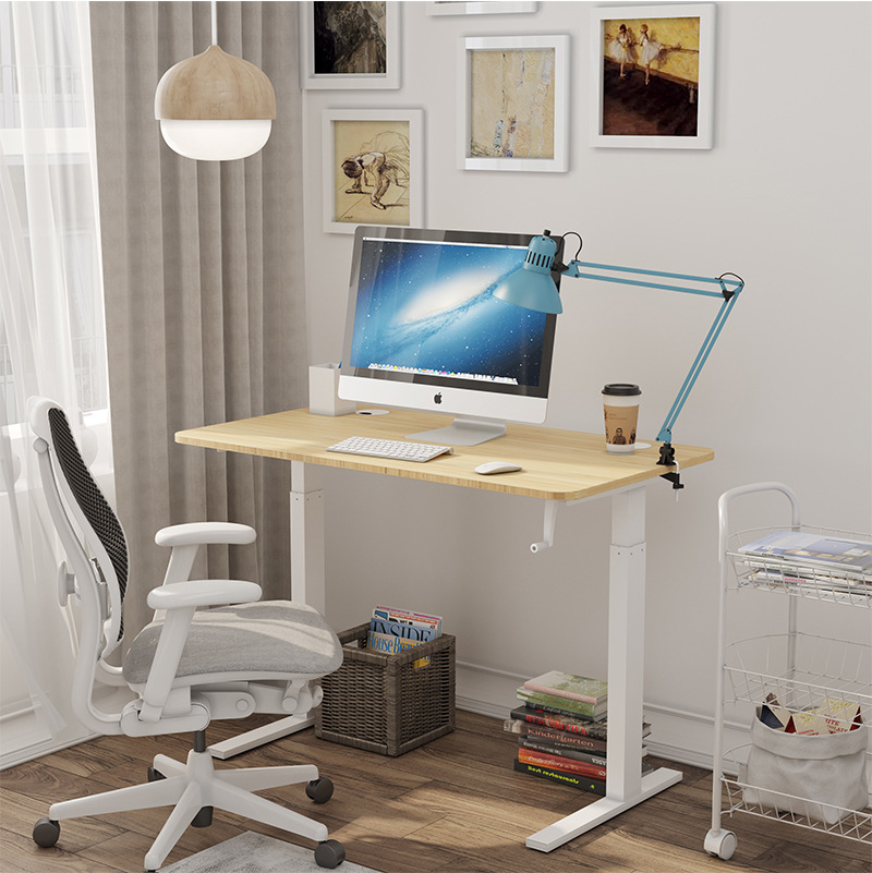 Sit-Stand Adjustable Desk View
