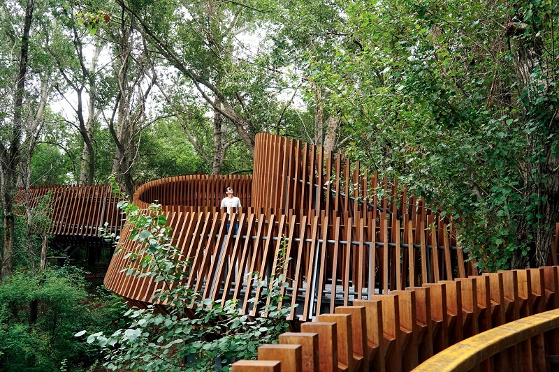 Moso Bamboo Decking Review