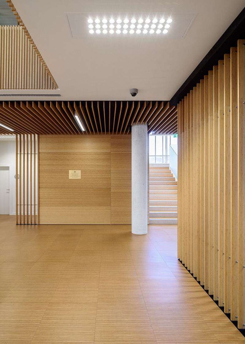 20mm bamboo plywood