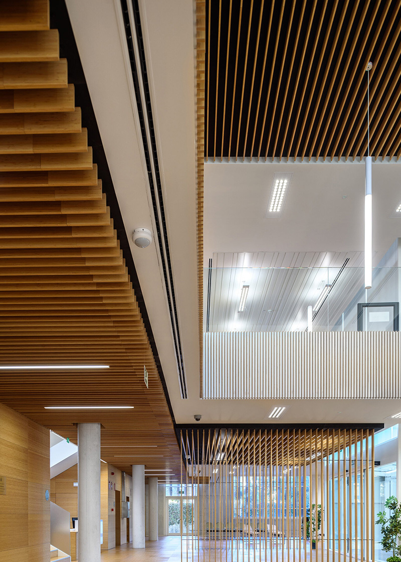 20mm bamboo plywood