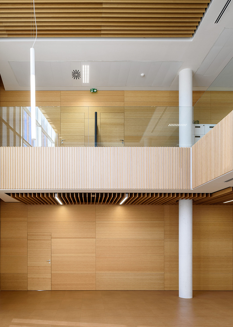20mm bamboo plywood