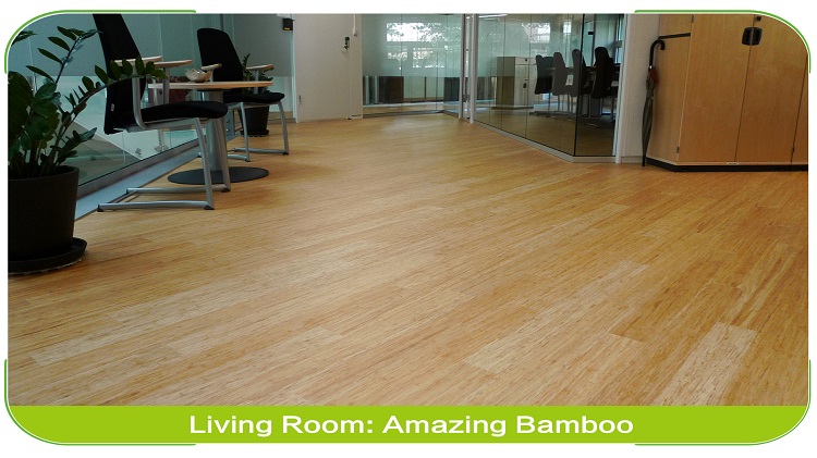 Solid Strand Woven Bamboo Flooring Natural Living Room Design
