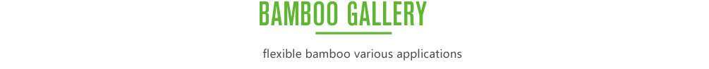 bamboo gallery