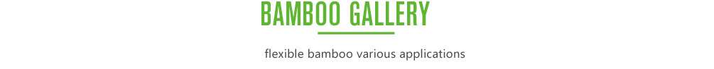 bamboo gallery