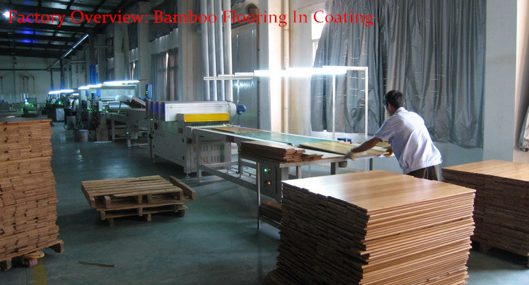 Bamboo Flooring Factory Overview