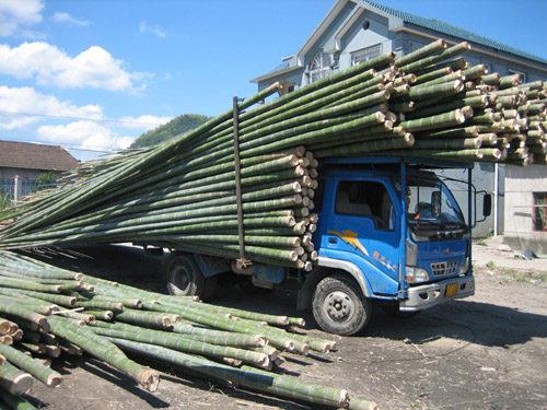 bamboo flooring anji