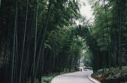 bamboo flooring yixing