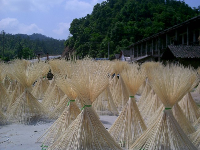 bamboo flooring jiangxi