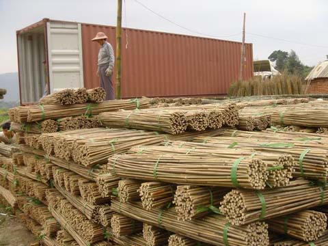 Long Length Moso Bamboo Lumber Structure Beam for Construction - China  Bamboo Beam, Bamboo Plywood