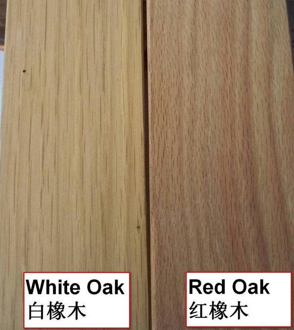 red oak vs white oak