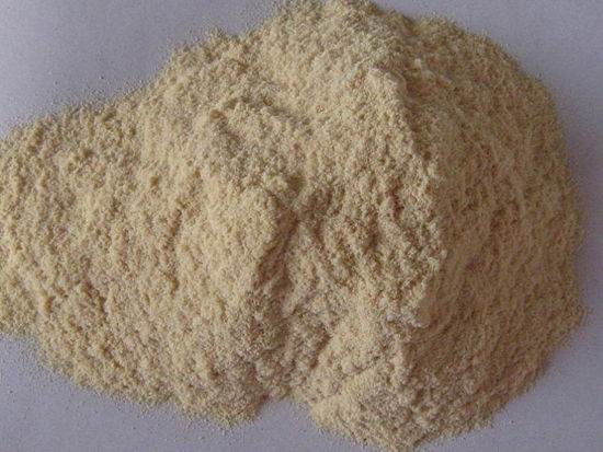bamboo powder