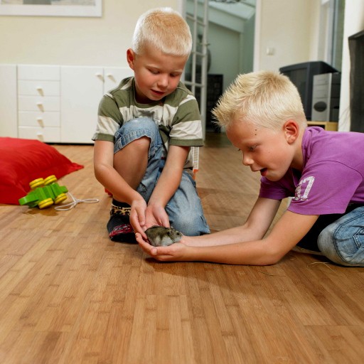 propertie benefits bamboo flooring