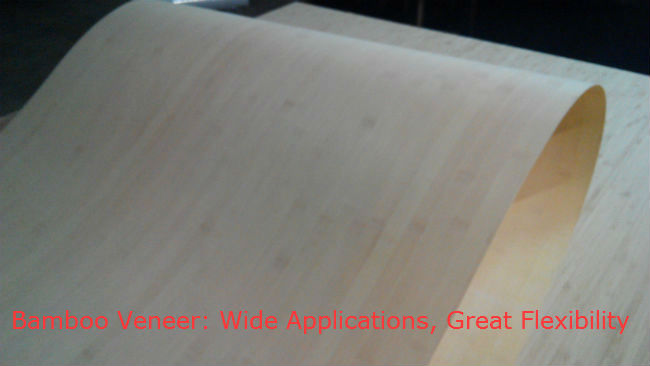 Bamboo Veneer: Properties and Regular Applications