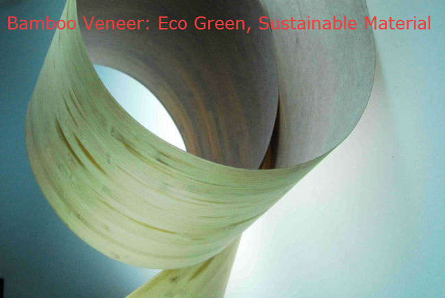 Bamboo Veneer: Properties and Regular Applications