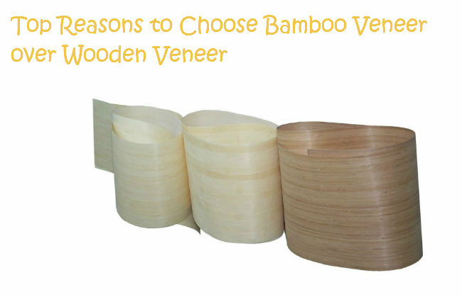 Reasons to Choose Bamboo Veneer over Wooden Veneer