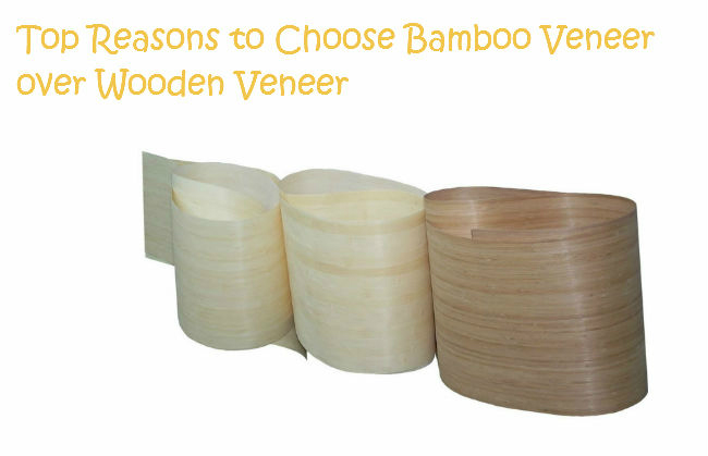 Reasons to Choose Bamboo Veneer over Wooden Veneer Reasons to Choose Bamboo Veneer over Wooden Veneer
