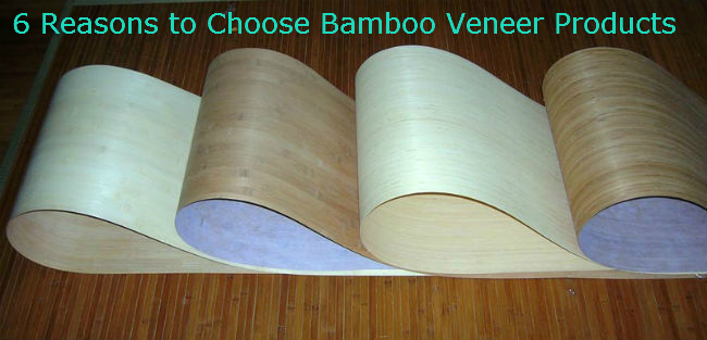 Reasons to Choose Bamboo Veneer