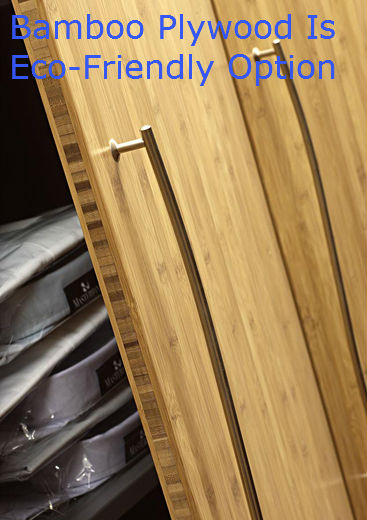 Bamboo Plywood Is Eco-Friendly Option Bamboo Plywood Is Eco-Friendly Option
