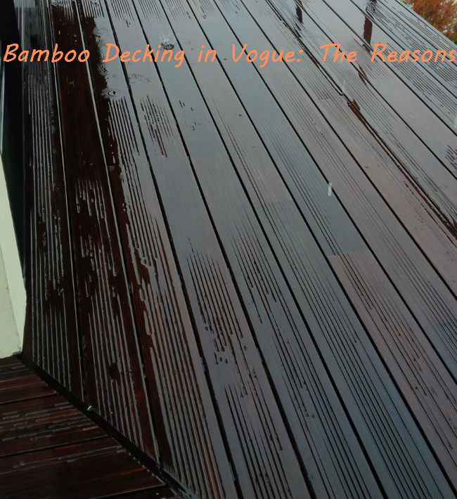 Bamboo Decking in Vogue: The Reasons Bamboo Decking in Vogue: The Reasons