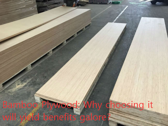 Bamboo Plywood: Why choosing it will yield benefits galore?