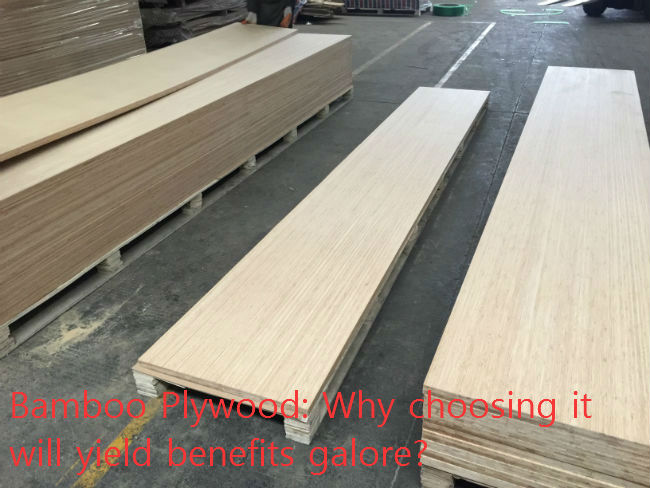 Bamboo Plywood: Why choosing it will yield benefits galore? Bamboo Plywood: Why choosing it will yield benefits galore?