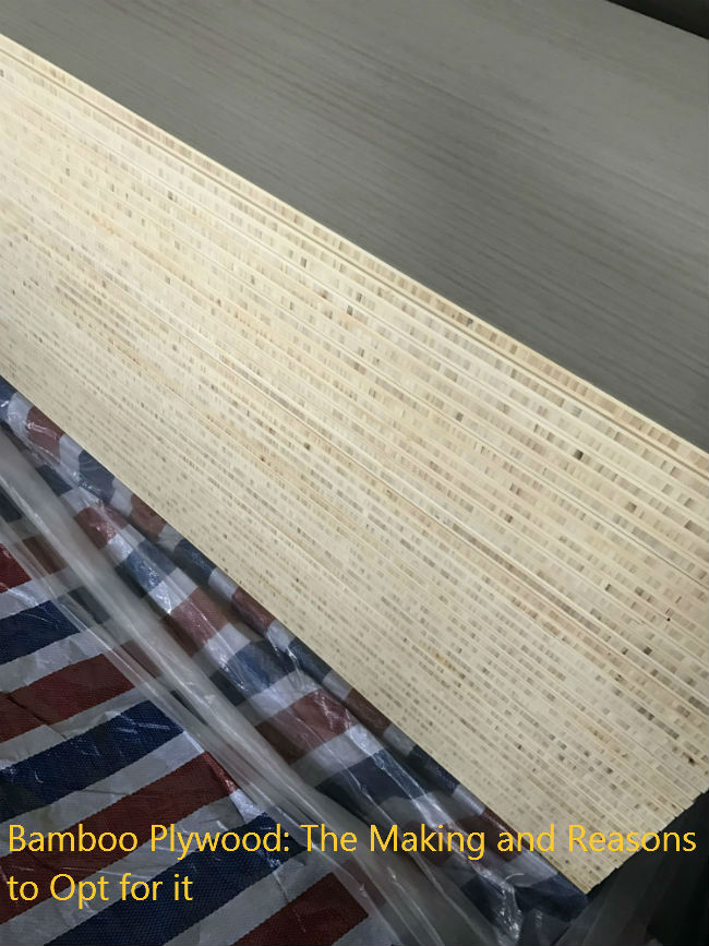 Bamboo Plywood: The Making and Reasons to Opt for it Bamboo Plywood: The Making and Reasons to Opt for it