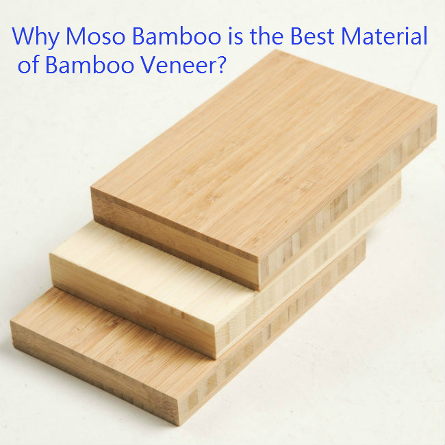Why Moso Bamboo is the Best Material of Bamboo Veneer Why Moso Bamboo is the Best Material of Bamboo Veneer