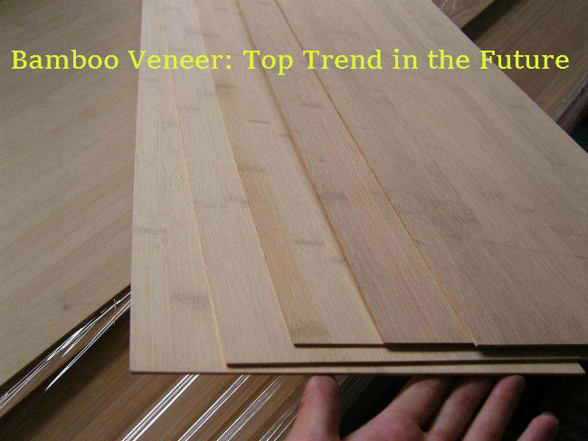 Bamboo Veneer - The Top Trend in the Future