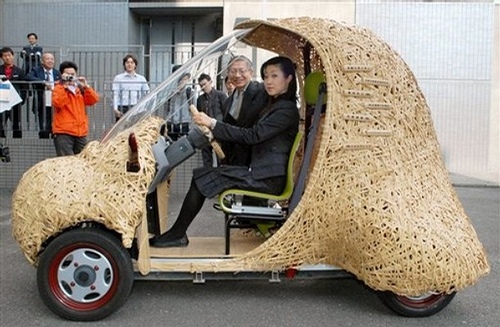 bamboo car
