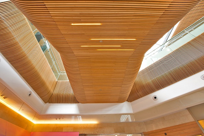 Bamboo Veneer Sheets