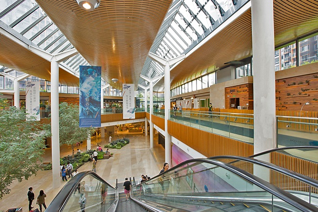 Bamboo Veneer Sheets