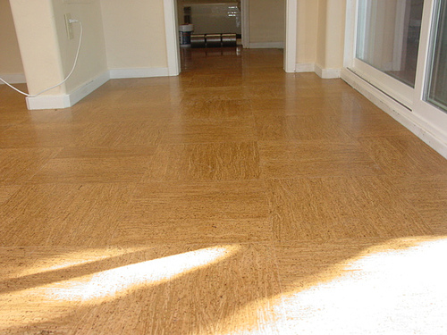 bamboo cork flooring